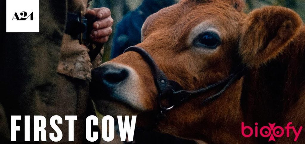 First Cow (A24) Web Series Cast &#038; Crew, Roles, Release Date, Story, Trailer