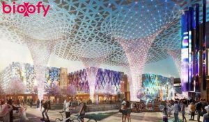 COVID-19 Dubai Expo Postponed for a Year