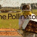 , The Pollinators Movie (1091 Media) Cast &#038; Crew, Roles, Release Date, Story, Trailer