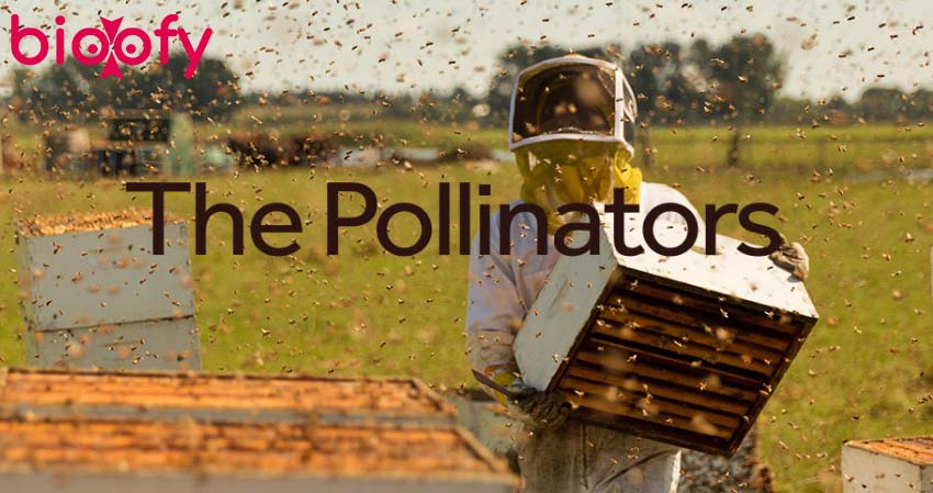 The Pollinators Movie (1091 Media) Cast &#038; Crew, Roles, Release Date, Story, Trailer