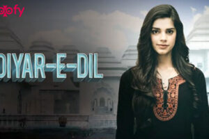 Diyar-e-Dil Cast & Crew, Roles, Release Date, Story, Trailer