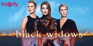 Black Widows web series