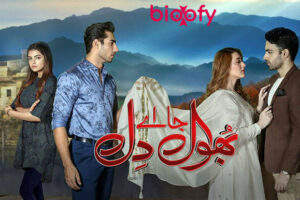 Bhool Jaa Ay Dil (HUM TV) Drama Cast & Crew, Roles, Release Date, Story, Trailer