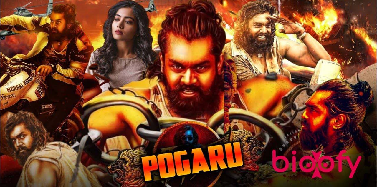 Pogaru Cast & Crew, Roles, Release Date, Story 2020
